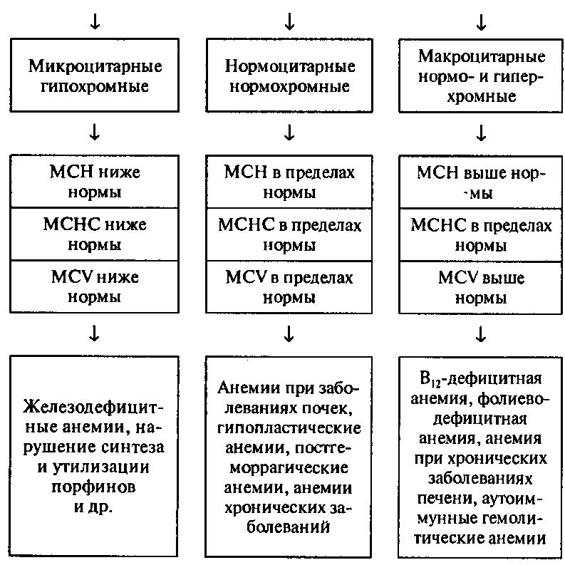Анемии. Патогенетическая классификация